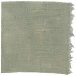 Dye mushroom: Hydnellum suaveolens (Sweetgrass Hydnellum), Fiber: linen, Mordant: iron