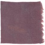 Dye mushroom: Cortinarius neosanguineus (Western Blood Red Cort), Fiber: linen, Mordant: iron